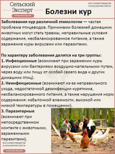 О лечении поноса у бройлеров в домашних условиях (что делать при жидком стуле)