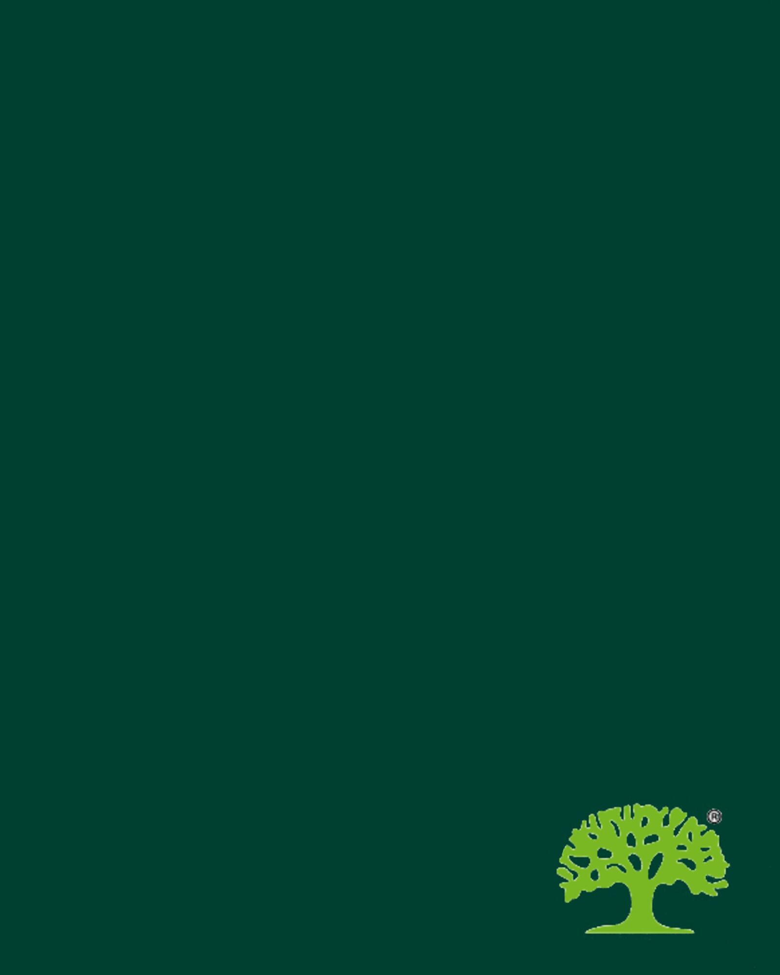 Фанера ламинированная ФСФ 2440х1220х18 мм сорт 1/1 зеленый (GREEN) 240 г/м2 M
