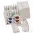 Розеточный модуль NTSS PREMIUM Keystone UTP 1xRJ45 CAT5e белый #3