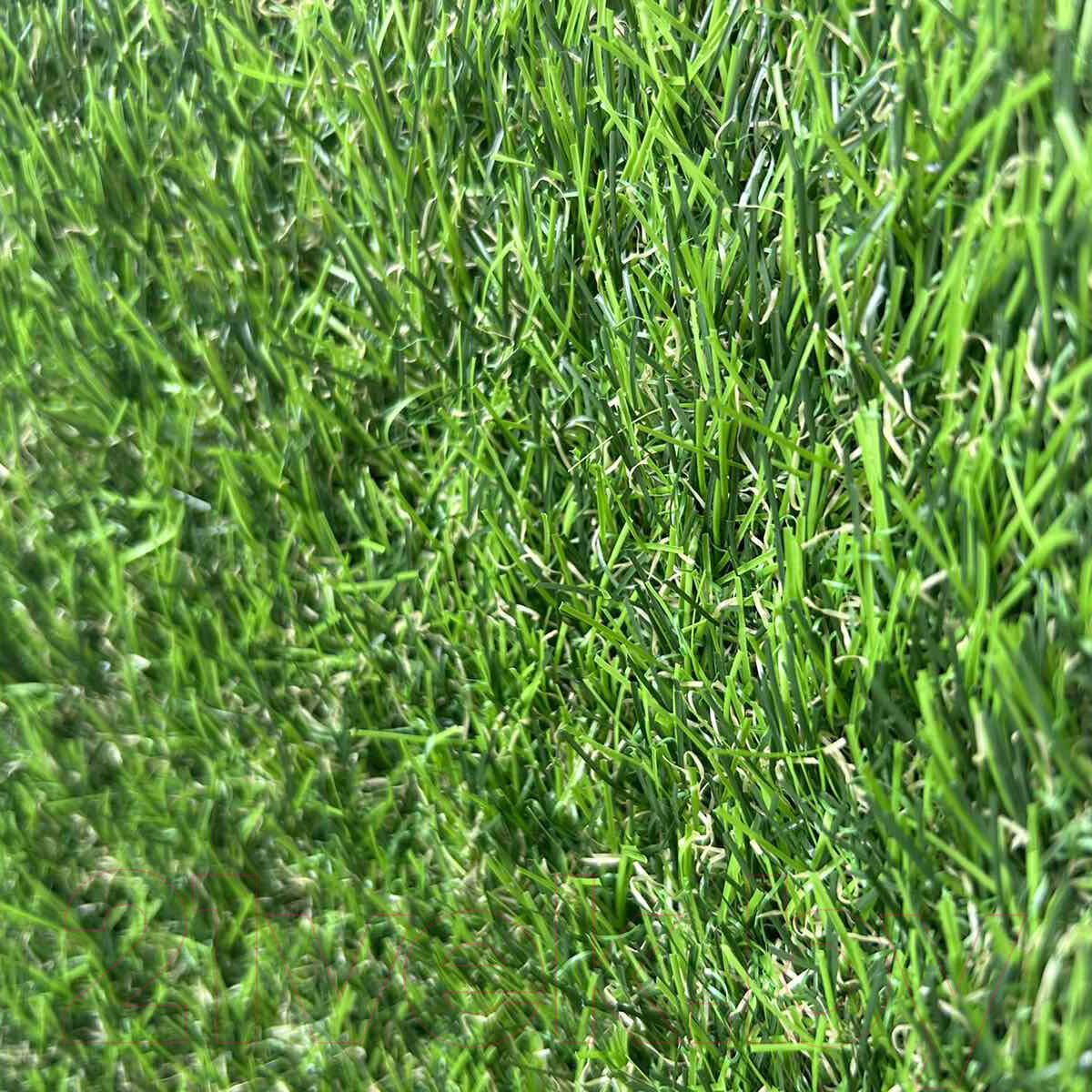 Искусственная трава Bellinturf Jasmin 304 30мм