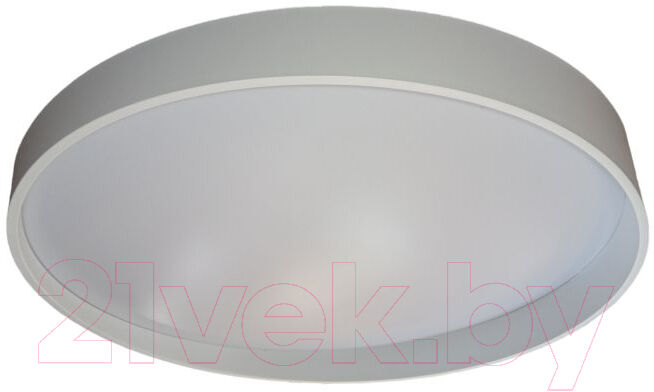 Потолочный светильник BSI С МК3089-50 120