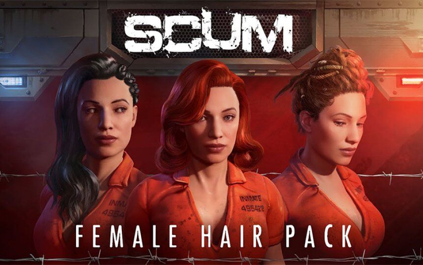 Игра для ПК Jagex SCUM Female Hair Pack