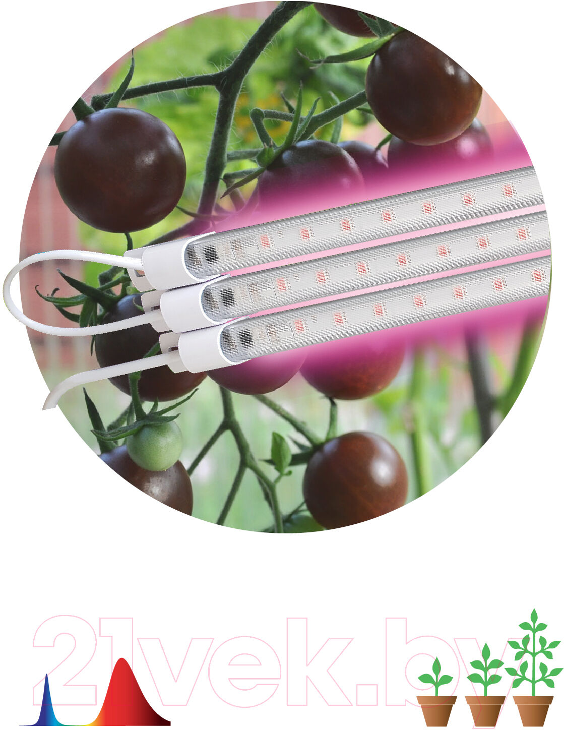 Лампа для растений ЭРА FITO-3х10W-LINE-RB90 / Б0050924 8