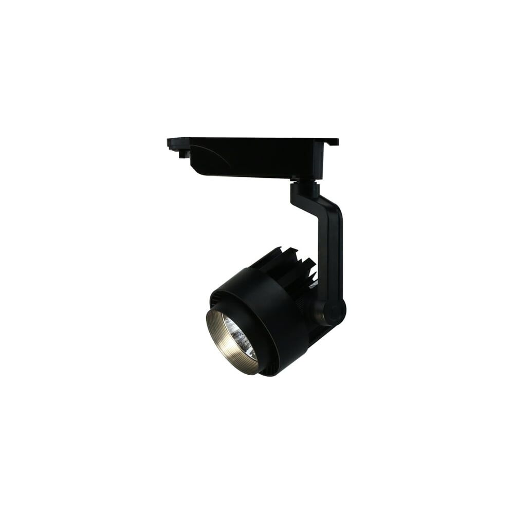 Потолочный светильник ARTE LAMP A1620PL-1BK