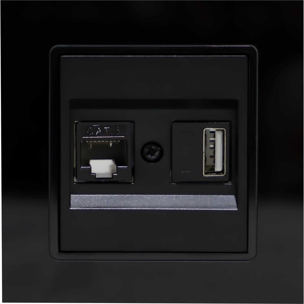 Розетка для сетевого кабеля Vesta Electric Exclusive Black