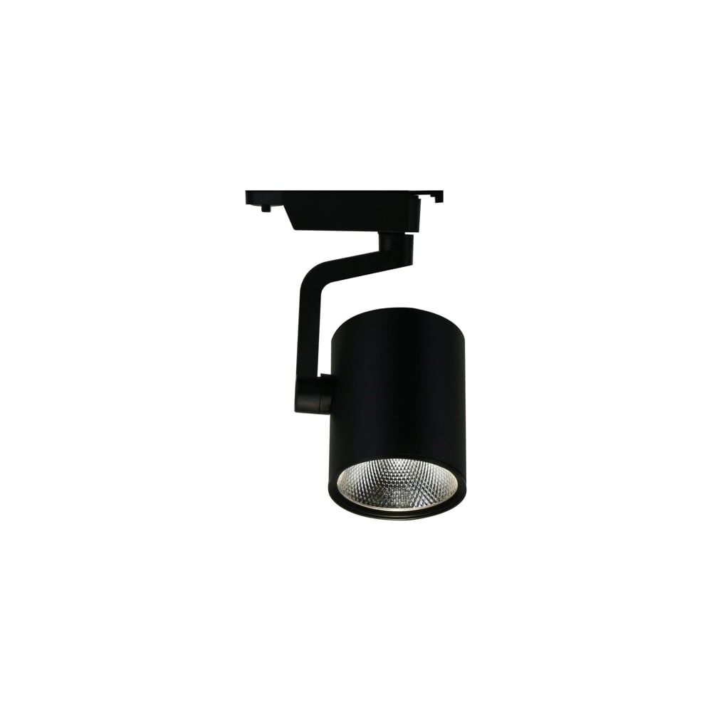 Потолочный светильник ARTE LAMP A2321PL-1BK