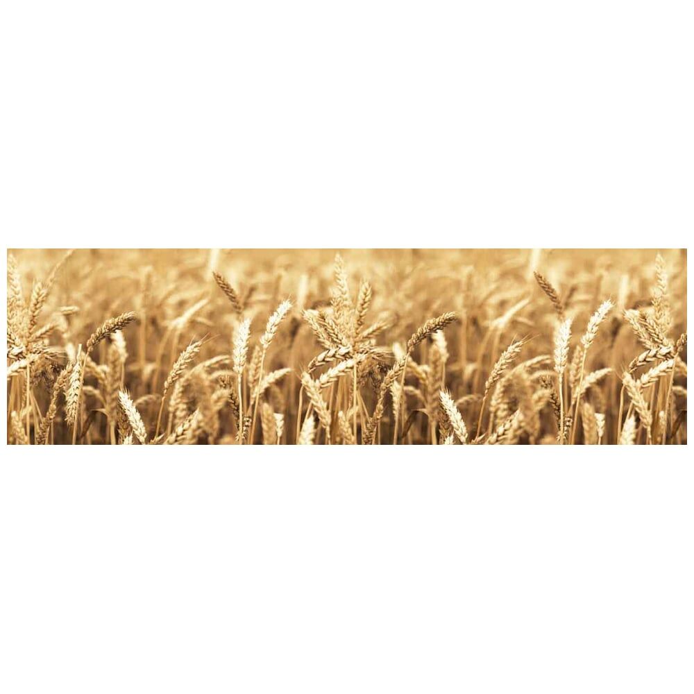 Кухонный фартук Студия фартуков Пшеничное поле