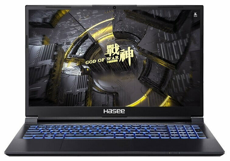 Ноутбук Hasee 12450H (Z7-DA5NS)