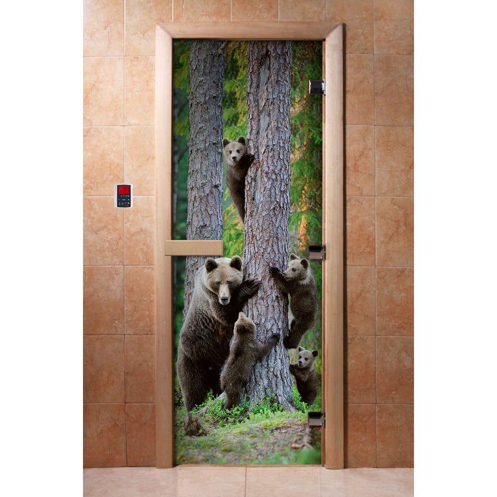 Дверь для бани DoorWood УТ-00014675
