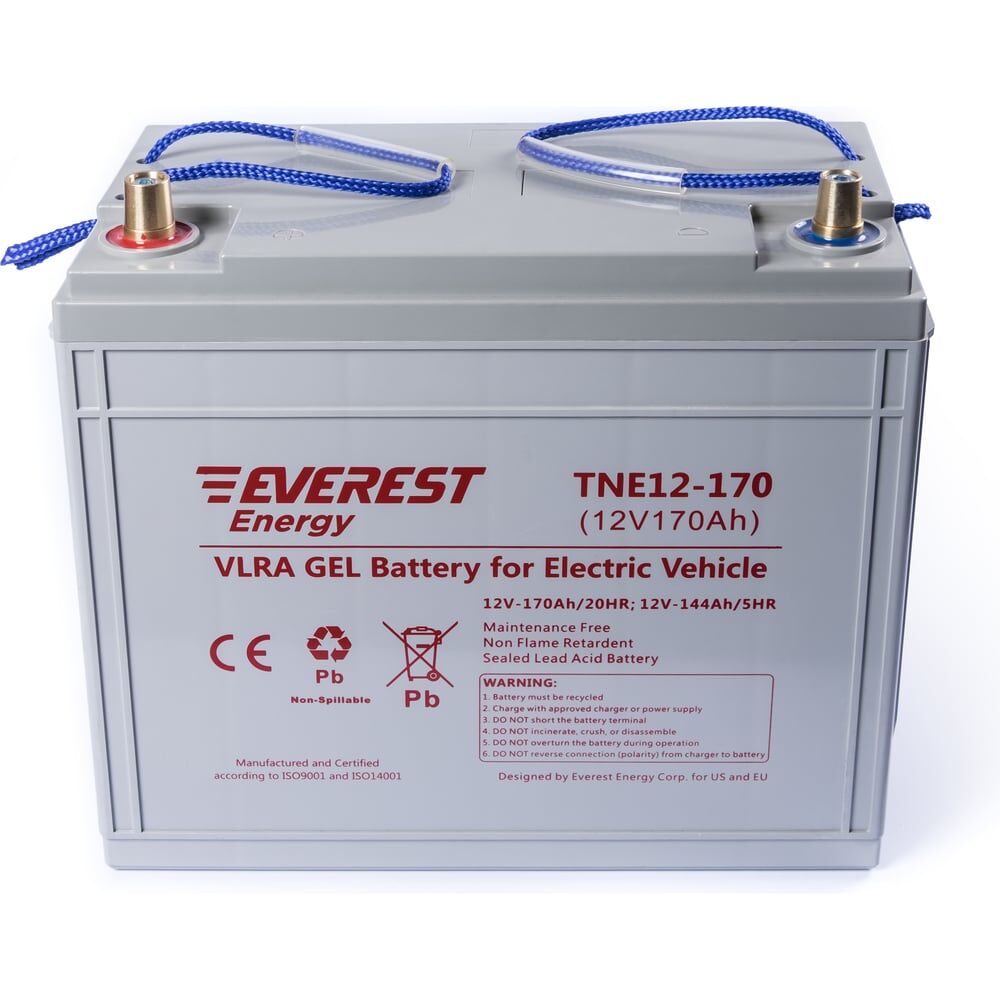 Тяговая аккумуляторная батарея EVEREST Energy TNE 12-170